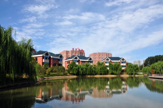 1605749229264876.jpg 640.webp.jpg