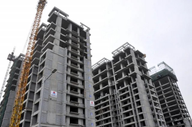 1615444705293391.jpg 1.jpg